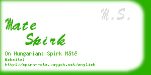 mate spirk business card